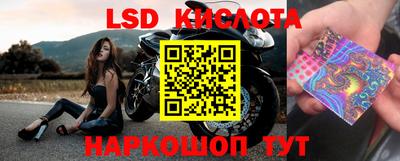 дживик Коммунар